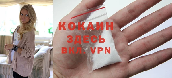 винт Новозыбков