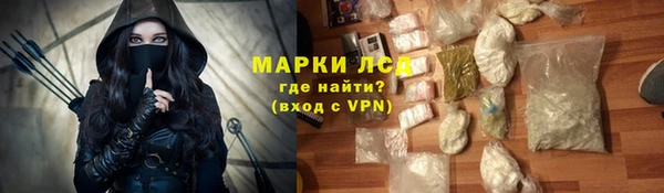 стаф Болотное