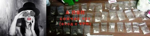 стаф Болотное