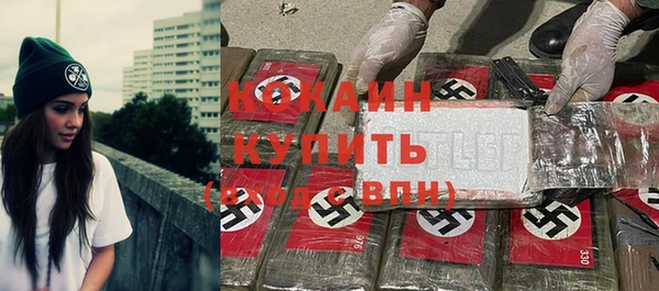 стаф Болотное