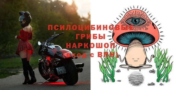 стафф Болхов