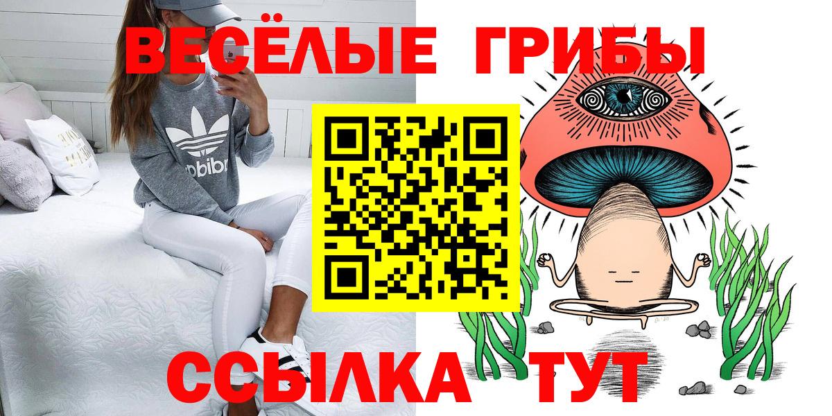 Каменка  Псилоцибиновые грибы Magic Shrooms  Вход с VPN 